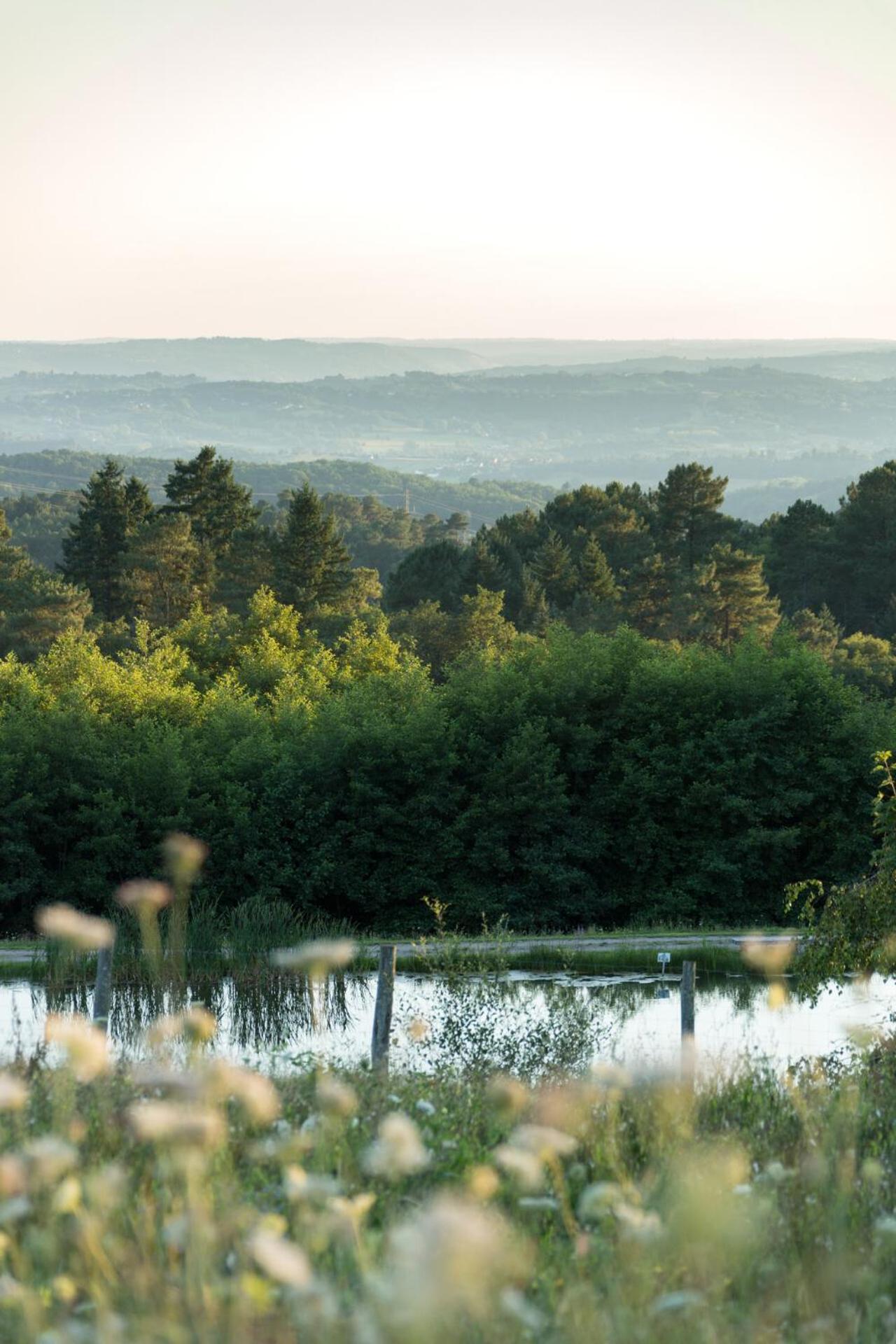 Les Collines De Sainte-Fereole Hotel Kültér fotó